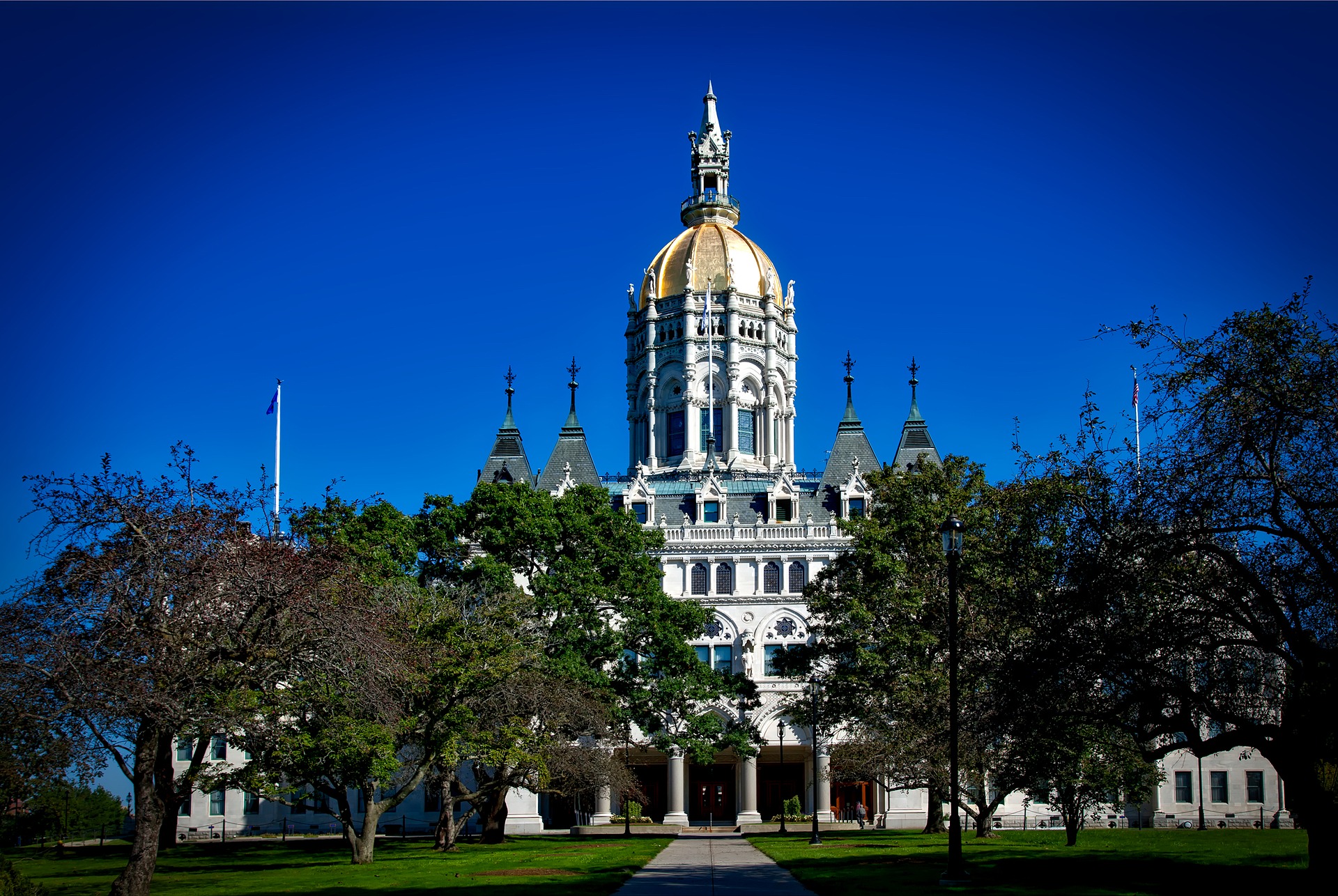 Audit shows improper loan forgiveness, excessive tax credits by DECD