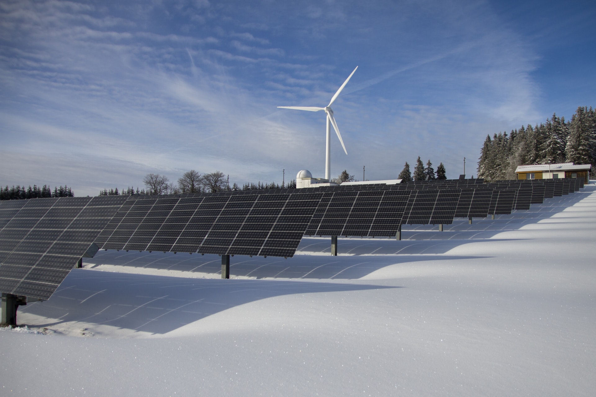 Policy Corner: The greenest energy we can afford